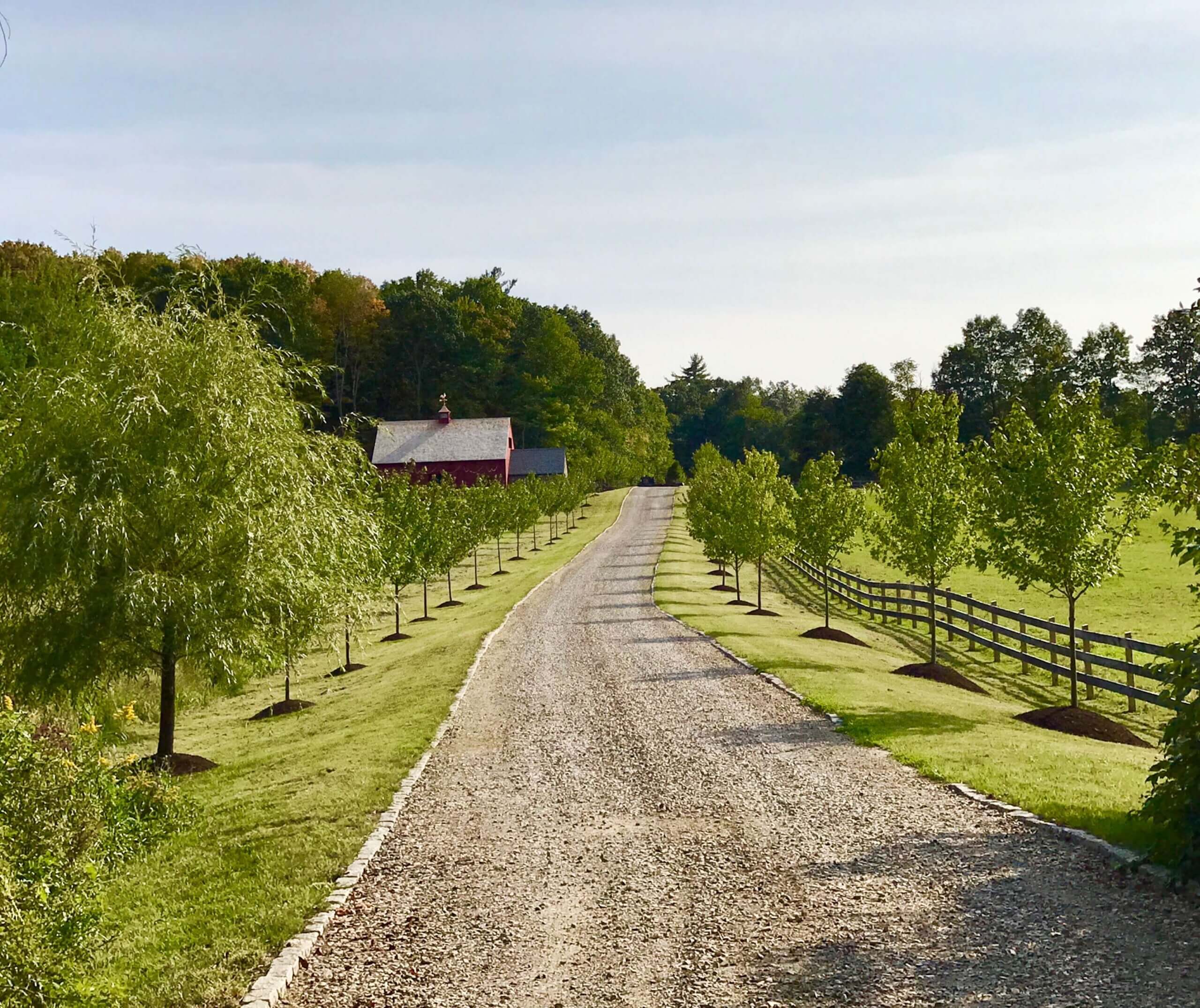 The driveway entering June Farms