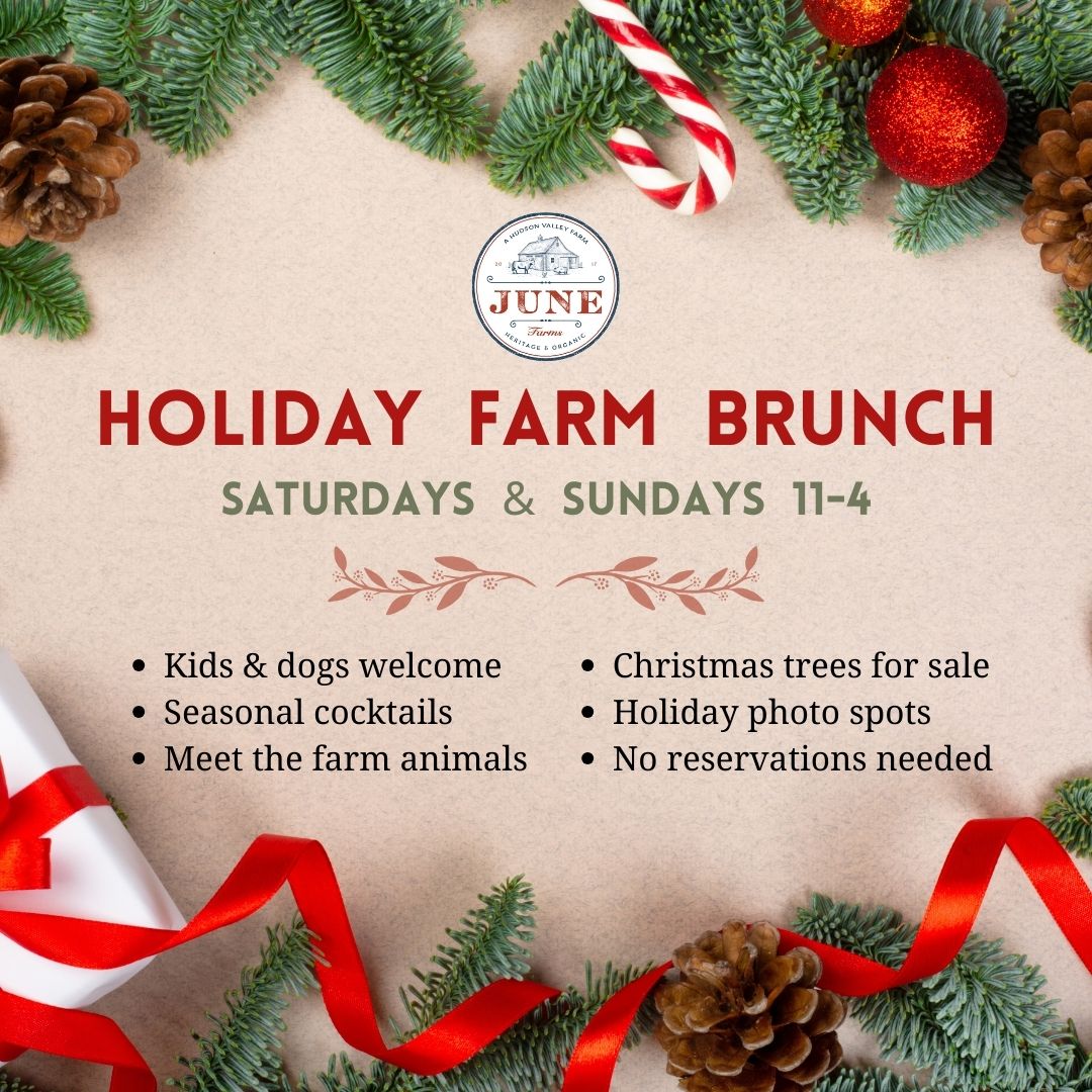 Holiday Farm Brunch - June Farms