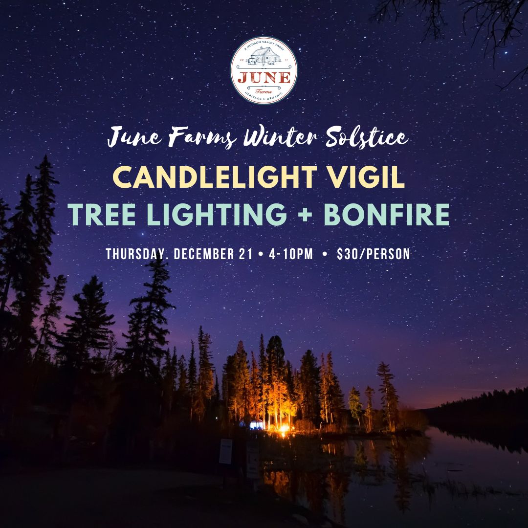 Happy (Instagram Post)